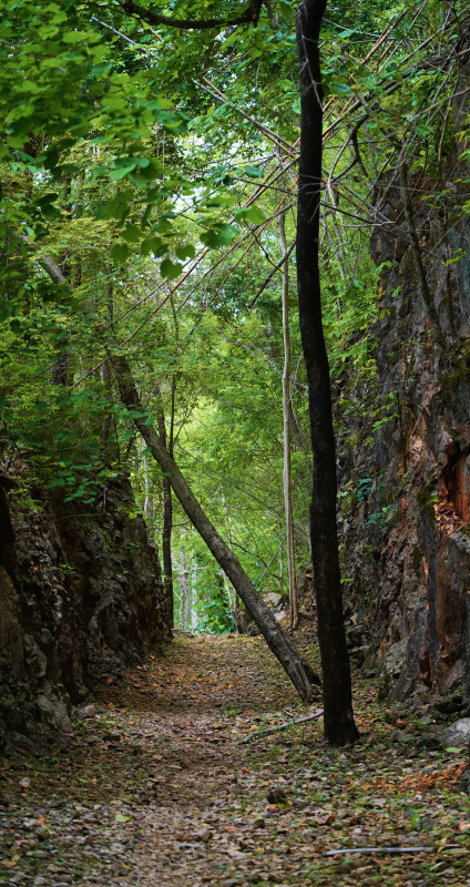 Observation binoculars overlooking green landscape.