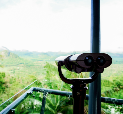 Observation binoculars overlooking green landscape.
