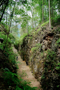 Narrow dirt path between rocky walls and tall trees.
