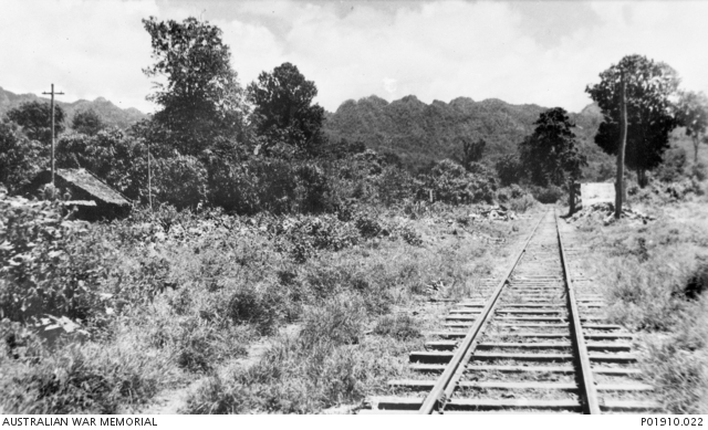 A railway line amongst trees and shrubs.