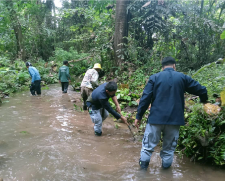 5 people standing in muddy knee-deep water surrounded by green forest.