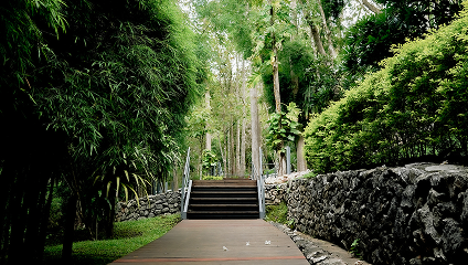 Sealed walkway leading to stairs surrounded by rock retaining and green landscaping.