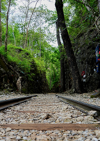Pebbles in and around railway tracks trees in the background.