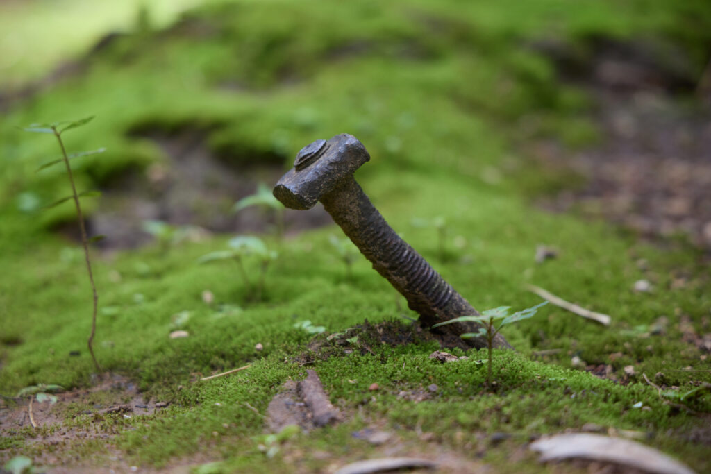 Hellfire Pass Interpretive Centre|Educational Resources